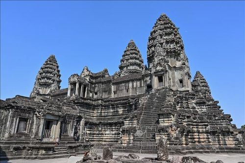 Campuchia cảnh báo du khách về khỉ khi tới thăm Angkor Wat