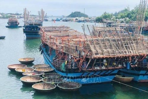 Ngư dân thủ phủ nghề cá vươn khơi đầu năm