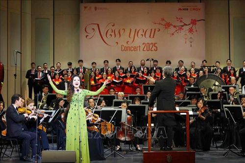 Chào năm mới với chương trình hòa nhạc 'New year Concert 2025'