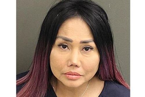 Ca sĩ Lynda Trang Đài bị bắt