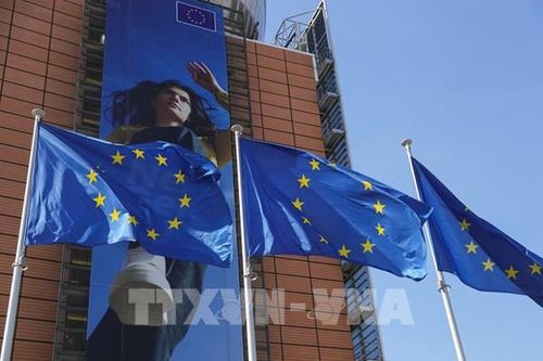 EU xem xét áp phí với hàng thương mại điện tử giá rẻ