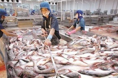 Vĩnh Hoàn: Lợi nhuận năm 2024 tăng mạnh, trích dự phòng gần 42 tỷ cho đầu tư cổ phiếu