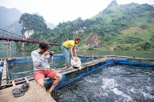 Nâng thương hiệu du lịch Tủa Chùa