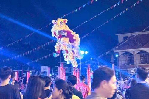 2 đoàn lân sư rồng Đồng Nai tham dự Liên hoan lân sư rồng khu vực Đông Nam Bộ mở rộng năm 2025
