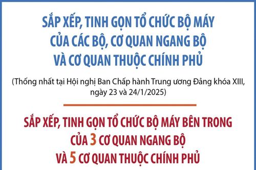 Sắp xếp, tinh gọn tổ chức bộ máy bên trong của 3 cơ quan ngang bộ và 5 cơ quan thuộc Chính phủ