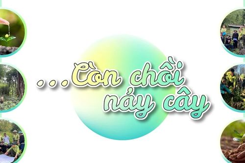...Còn chồi nảy cây