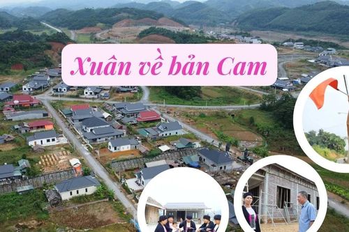Xuân về bản Cam