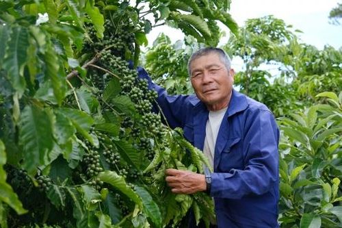 Bảo Lâm: Công tác xây dựng Đảng đạt nhiều kết quả quan trọng