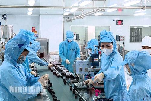 Người lao động phấn khởi trở lại làm việc sau Tết
