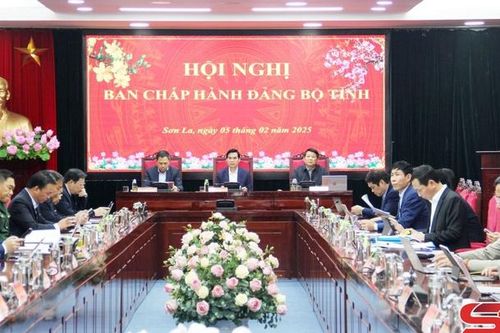 Hội nghị Ban Chấp hành Đảng bộ tỉnh