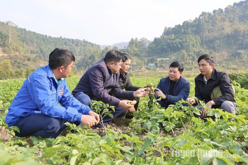 Sức vươn vùng Thượng Giáp