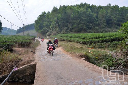 Người dân mong cống Bà Dìn sớm được nâng cấp