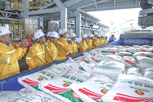 Đẩy mạnh đầu tư, Đạm Cà Mau (DCM) tăng cường năng lực xuất khẩu