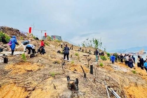 Thành phố Hạ Long phấn đấu trồng trên 21.500ha rừng trong năm 2025