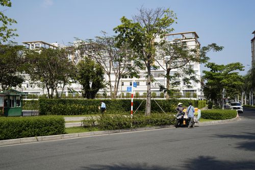 TP. Hồ Chí Minh sẽ xử lý thao túng giá và đầu cơ nhà đất