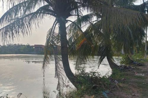 Tìm thấy thi thể bé gái 5 tuổi mất tích dưới ao cá