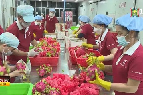 Trình Quốc hội điều chỉnh mục tiêu GDP năm 2025 lên 8%
