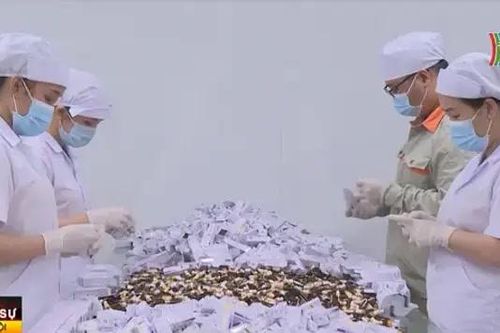 Doanh nghiệp TP.HCM tất bật lo đơn hàng đầu năm