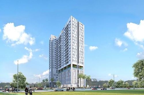 DRH Holdings (DRH) lỗ 'lịch sử' 197 tỷ đồng năm 2024 do đầu tư, chứng khoán