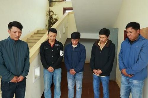Phá vụ trộm trâu xuyên Tết