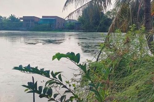 Đã tìm thấy thi thể bé gái 5 tuổi tại ao cá gần nhà