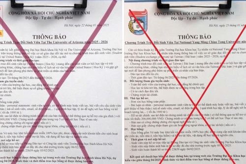 Liên tiếp các trường đại học bị mạo danh, lừa sinh viên