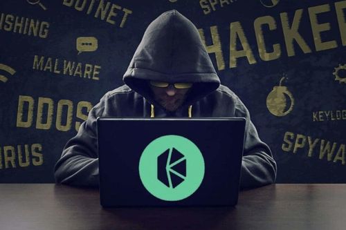 Tin tặc bị cáo buộc 'cuỗm' 48 triệu USD từ dự án blockchain Việt là ai?