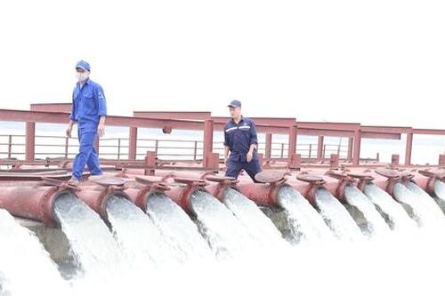 Hà Nội cấp đủ nước cho 66,3% diện tích gieo cấy vụ xuân