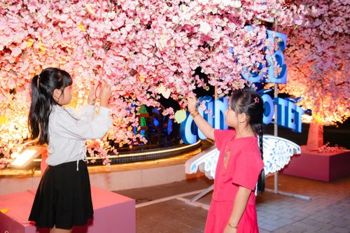 Cảm xúc đáng nhớ tại 'Ice cũng Tết có Tết 2025 – như hoa mùa Xuân'