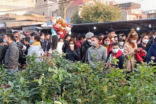 Nam Định đón hơn 22 nghìn lượt khách du lịch trong dịp Tết Nguyên đán 2025