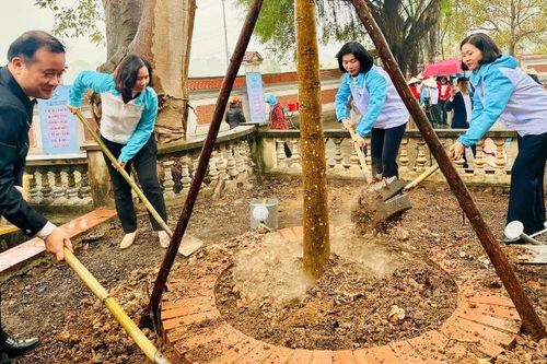 Phụ nữ Thủ đô phấn đấu trồng 5.000 cây xanh, cây ăn trái