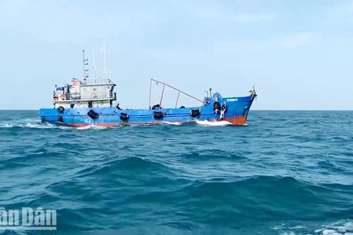 Kiên Giang bắt giữ tàu cá chở khoảng 100.000 lít dầu DO trái phép