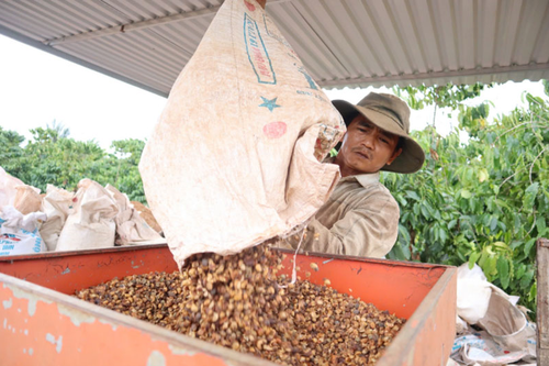 Hăng say lao động cho năm mới đủ đầy
