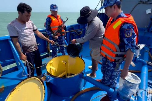 Vùng Cảnh sát biển 4 bắt tàu vận chuyển trái phép dầu D.O