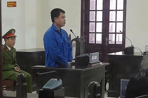 Nhờ anh họ mua đất, bị lừa mất hơn nửa tỷ đồng