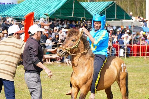 Cười 'thả ga' trong ngày đầu năm mới với Hội đua ngựa Gò Thì Thùng