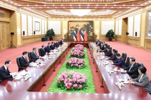 Chủ tịch Trung Quốc hội đàm với Thủ tướng Thái Lan, ca ngợi 'năm vàng son' của tình hữu nghị