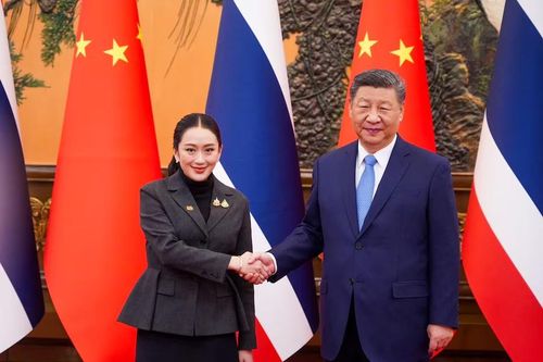 Ông Tập Cận Bình đánh giá cao Thái Lan trong việc chống lại các trung tâm lừa đảo