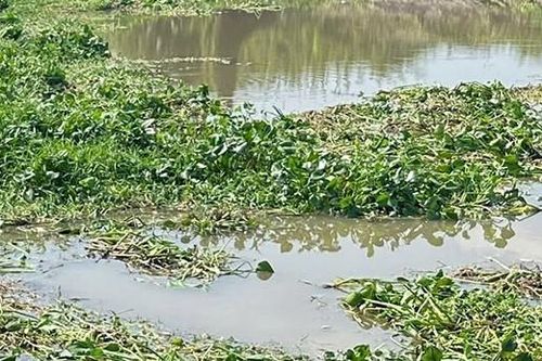Thi thể thiếu niên 16 tuổi bị cột vào đầu bơm nước, nổi trên kênh ở Đồng Tháp