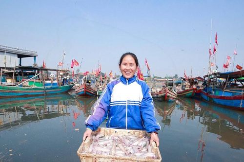 Trời trở rét, ngư dân Nghệ An trúng đậm cá cháo