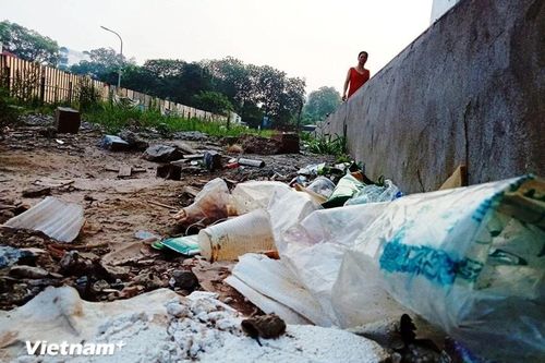 WWF: 6 mô hình 'Đô thị giảm nhựa' hiệu quả cao cần mở rộng thực hiện tại Việt Nam