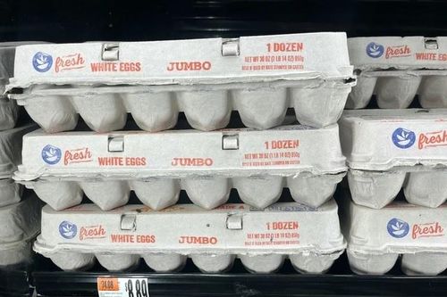 Mỹ: Truy tìm thủ phạm đánh cắp khoảng 10.000 quả trứng tại bang Pennsylvania