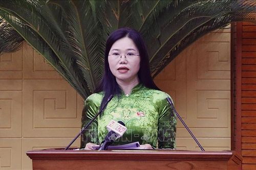 Bà Bùi Thị Minh được bầu giữ chức Chủ tịch Hội đồng nhân dân tỉnh Hòa Bình