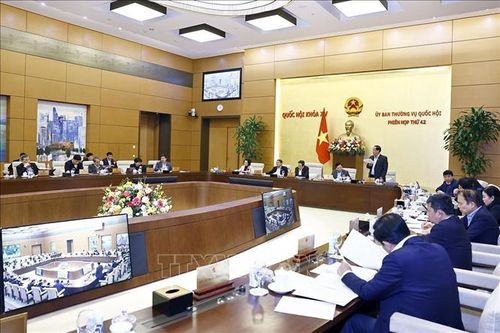 Thông qua nghị quyết triển khai thi hành Luật Tổ chức Tòa án nhân dân năm 2024