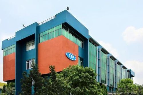 Gỗ Trường Thành thoát lỗ nhờ chứng khoán