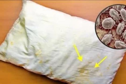 Thứ bẩn nhất trên giường không phải là ga trải giường mà là 'nó'. Nhiều người chưa giặt chút nào!