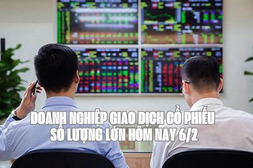 Doanh nghiệp giao dịch cổ phiếu số lượng lớn hôm nay 6/2