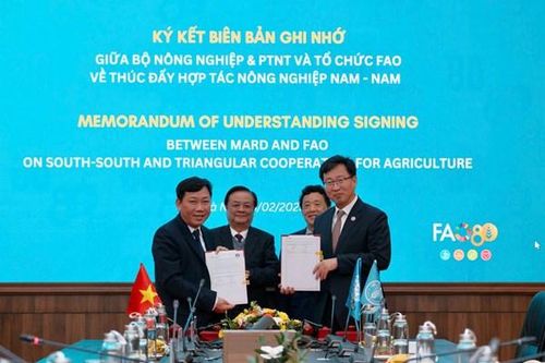 Việt Nam và FAO thúc đẩy hợp tác nông nghiệp