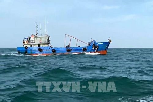 Bắt giữ tàu vận chuyển trái phép khoảng 100 ngàn lít dầu DO