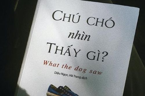 'Chú chó nhìn thấy gì': Bài học về sự thay đổi góc nhìn